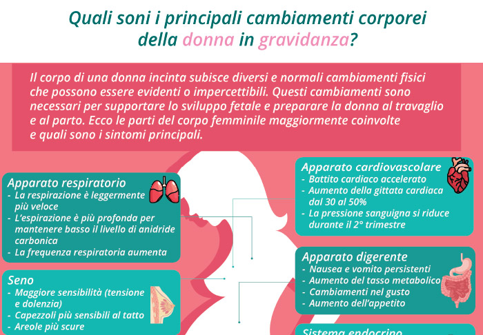Quali sono i principali cambiamenti corporei della donna in gravidanza?