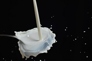 Spremitura manuale latte